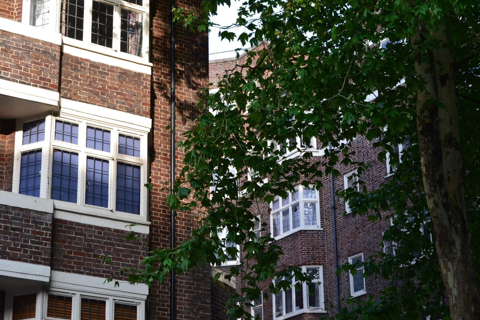 Map Bloomsbury Conservation